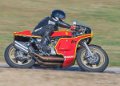 coyotes-2016-d5_0486