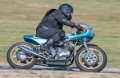coyotes-2016-d5_0490