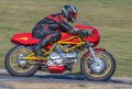 coyotes-2016-d5_0491