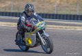 coyotes-2016-d5_0683
