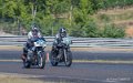 coyotes-2016-d5_0693