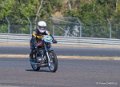 coyotes-2016-d5_0699