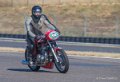 coyotes-2016-d5_0705