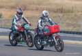 coyotes-2016-d5_0712