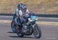 coyotes-2016-d5_0717