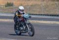 coyotes-2016-d5_0721