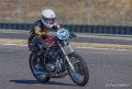 coyotes-2016-d5_0722