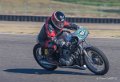 coyotes-2016-d5_0724