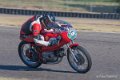 coyotes-2016-d5_0732
