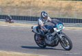 coyotes-2016-d5_0735