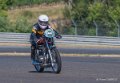 coyotes-2016-d5_0739