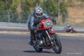 coyotes-2016-d5_0741