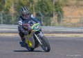 coyotes-2016-d5_0742