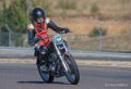 coyotes-2016-d5_0745