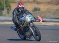 coyotes-2016-d5_0746