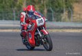 coyotes-2016-d5_0747