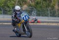 coyotes-2016-d5_0750