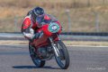 coyotes-2016-d5_0752