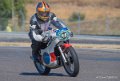 coyotes-2016-d5_0754