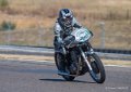 coyotes-2016-d5_0756
