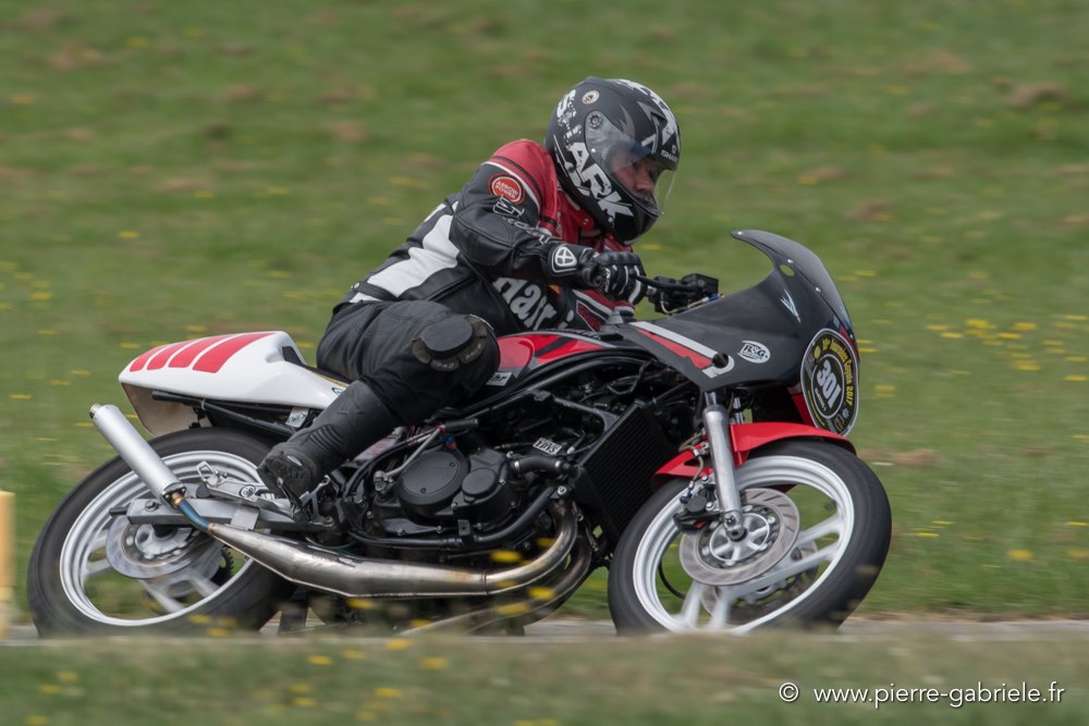coyotes-dimanche-d500_7050.jpg
