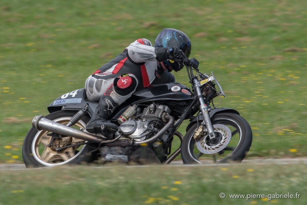 coyotes-dimanche-d500_7052.jpg