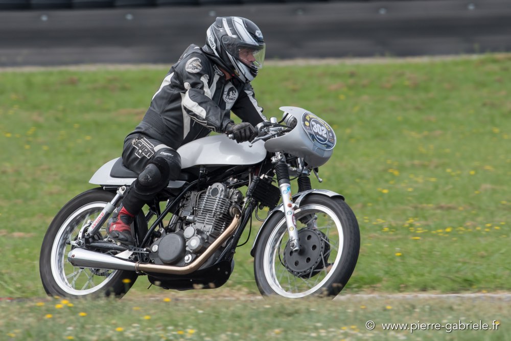 coyotes-dimanche-d500_7065.jpg