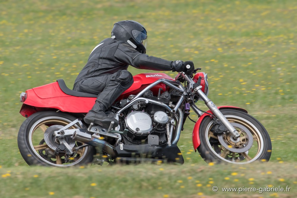 coyotes-dimanche-d500_7067.jpg