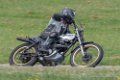 coyotes-dimanche-d500_7057