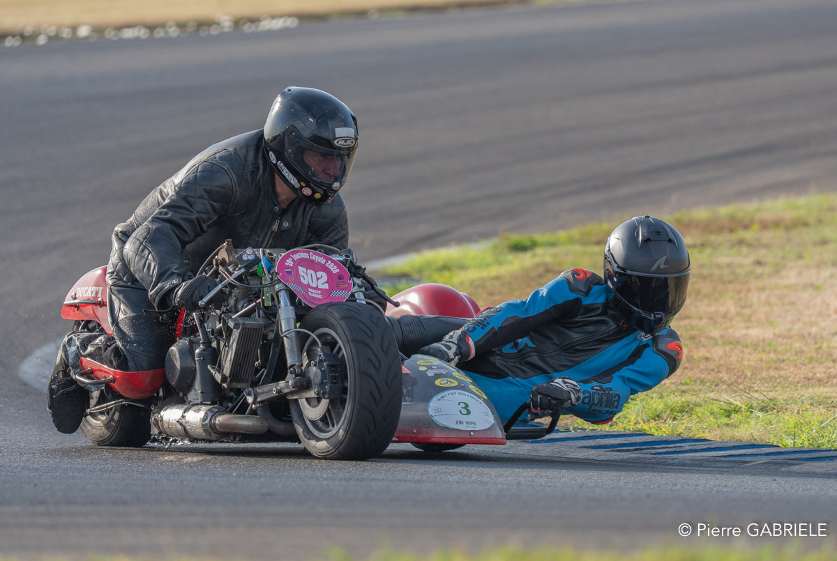 basset-classic-A7V_02409.jpg