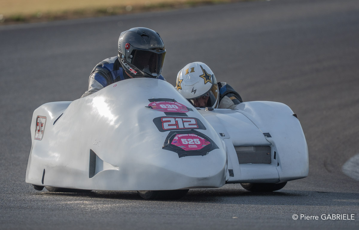 basset-classic-A7V_02433.jpg