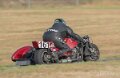 basset-classic-A7V_02388