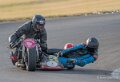 basset-classic-A7V_02431