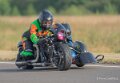 basset-classic-A7V_02436