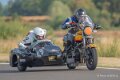 basset-classic-A7V_02437