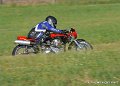 coyotes-2008_0164