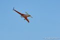 coyotes-2008_0397