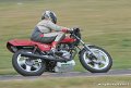 coyotes-2009_2125