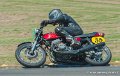 coyotes-2010_0401