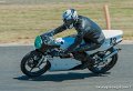 coyotes-2010_0426