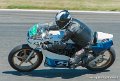 coyotes-2010_0429