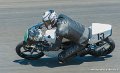 coyotes-2010_0443