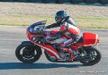 coyotes-2010_0571
