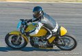 coyotes-2010_0585