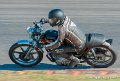 coyotes-2010_0654