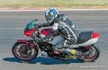 coyotes-2010_0740