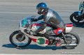 coyotes-2010_0742