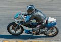 coyotes-2010_0750
