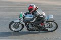 coyotes-2010_1088