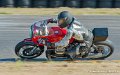 coyotes-2010_1204